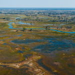 Tiere, Planzen und Landschaften