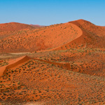 Tiere, Planzen und Landschaften