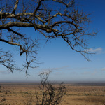 Tiere, Planzen und Landschaften